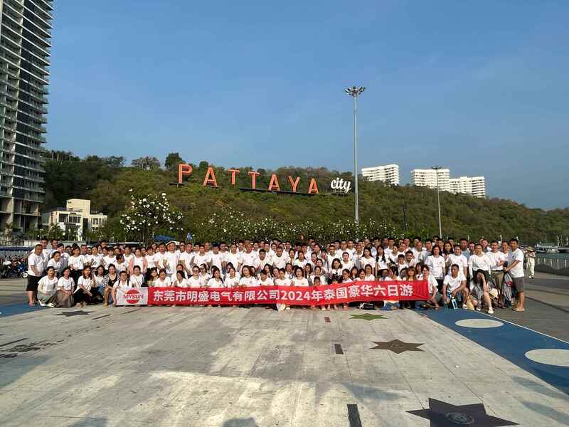 الصين Shenzhen Mysun Insulation Materials Co., Ltd. ملف الشركة